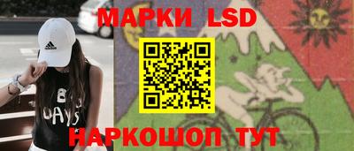 стаф Моздок