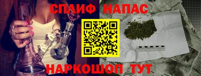 стаф Моздок