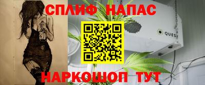 стаф Моздок