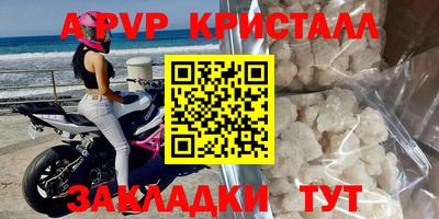 стаф Моздок