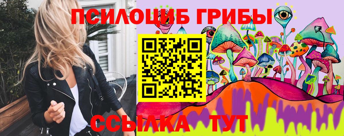Татарск  магазин продажи наркотиков  Вход с VPN  Псилоцибиновые грибы Cubensis 