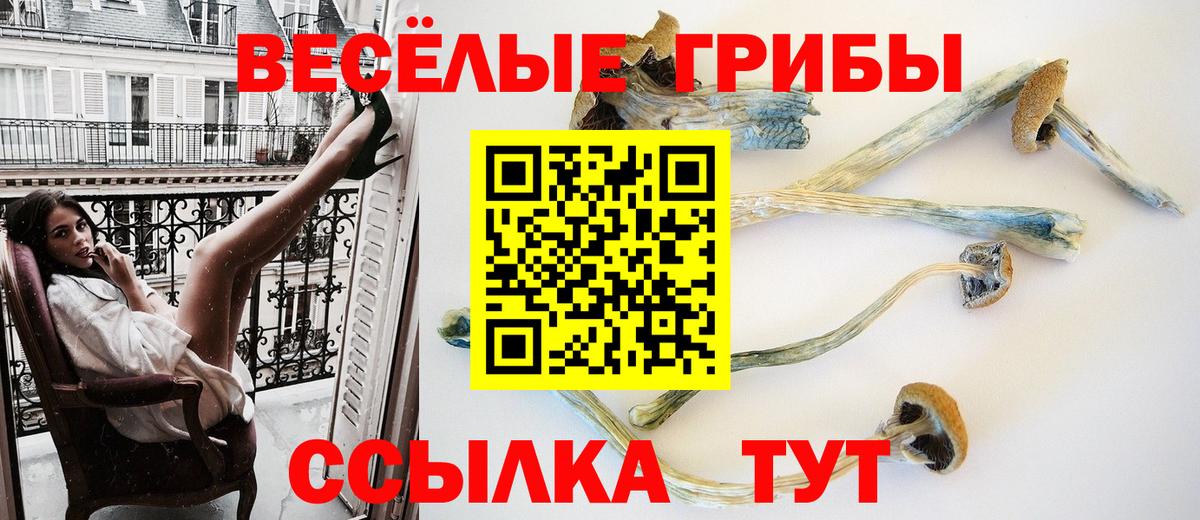 Псилоцибиновые грибы ЛСД Татарск